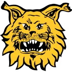 Ilves