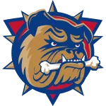 Brantford Bulldogs