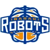 Ibaraki Robots